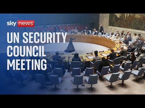 UN Security Council discuss weapons being supplied to Ukraine