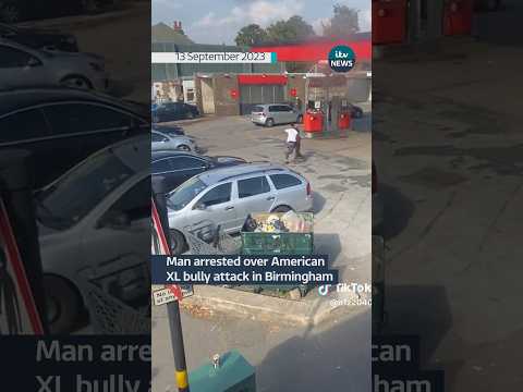 Man arrested over #xlbully attack in #birmingham