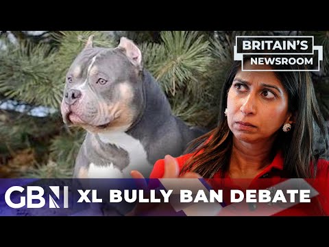 ‘These dogs are weapons grade’ | American XL Bully ban debate
