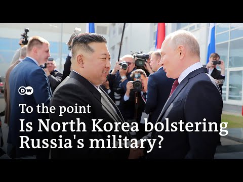 Ukraine’s counteroffensive: Is North Korea bolstering Russia’s military? | To the point