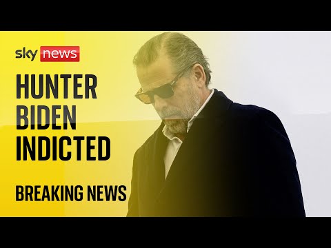 US: Hunter Biden indicted on federal gun charges