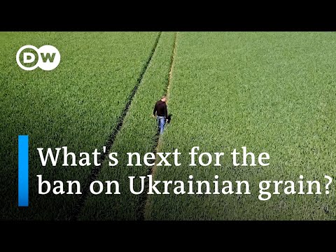 The EU’s balancing act between supporting Ukraine and keeping member states happy | DW News