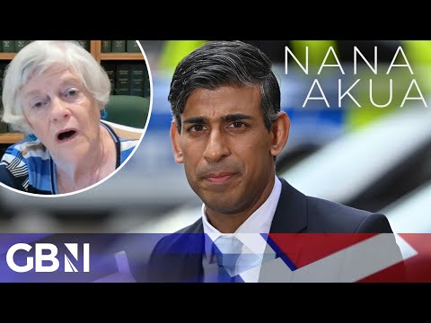 Rishi Sunak slammed as ‘TOTALLY INEFFECTIVE’ in damning assessment from Ann Widdecombe