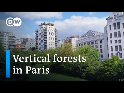 How Paris aims to be CO2-neutral by 2050 | Focus on Europe