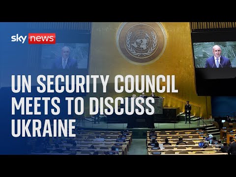 Watch live:  UN Security Council meets to discuss Ukraine