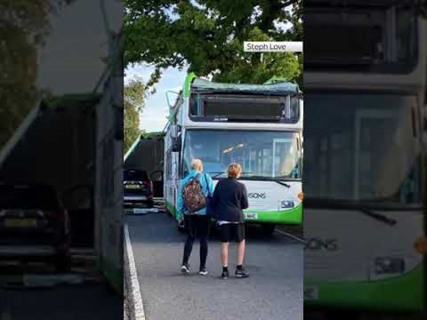 Two children have been taken to hospital after a bus had its roof ripped off during a crash in Essex