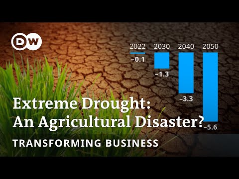 How to stop droughts from causing agricultural crises? | Transforming Business