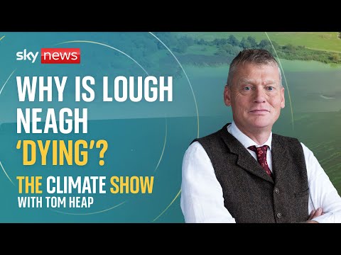 Climate Show with Tom Heap: Who’s to blame for killing Lough Neagh?