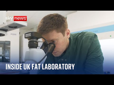 Inside the UK’s first cultivated fat laboratory