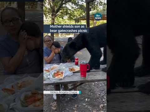 A mother bravely shielded her son from a gatecrashing bear during a birthday picnic #itvnews #bear