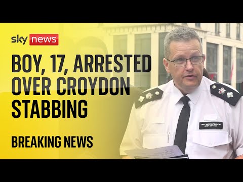 Croydon stabbing: 17-year-old boy arrested and in custody