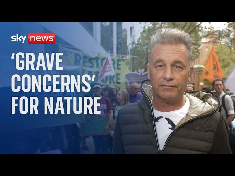 Climate: Chris Packham’s ‘grave concerns’ for UK wildlife
