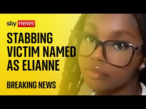 Croydon attack victim named as Elianne Andam