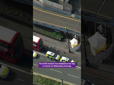 Teenage girl killed in Croydon named