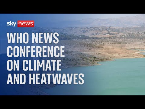 World Health Organisation news conference on heatwaves