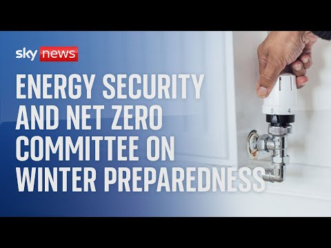 Watch live: Energy suppliers give evidence to Energy Security and Net Zero Committee
