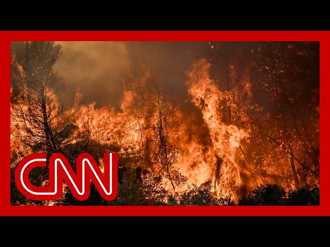 Report reveals Summer 2023 is the hottest on record