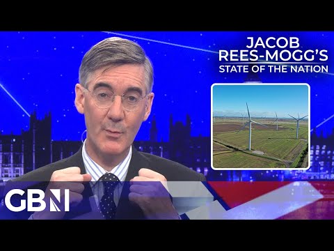 Energy windfall tax ‘a flea bite for the BPs and Shells of the world!’ | Jacob Rees-Mogg