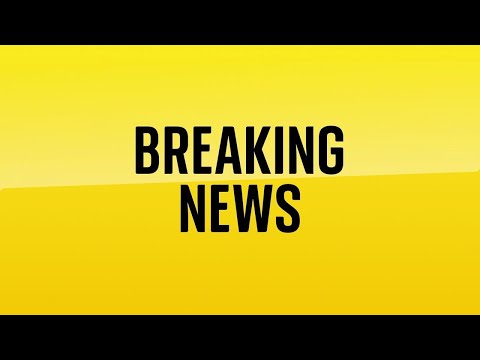 Watch live: Government release statement on prisoner who escaped Wandsworth Prison