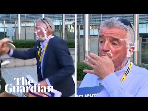 ‘It’s delicious’: Ryanair boss hit with cream cake in climate protest