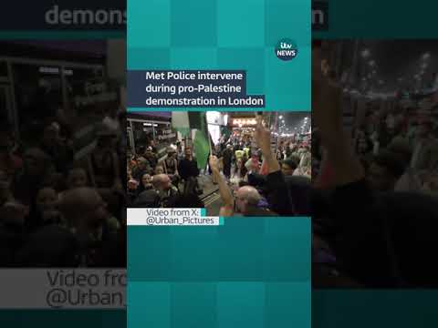Met Police intervene during pro-Palestine demonstration in London #london #palestine