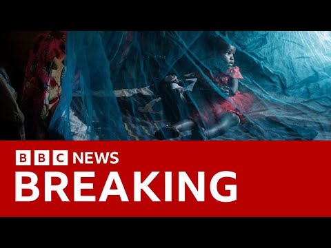 Malaria vaccine breakthrough: New cheap, option backed by WHO – BBC News