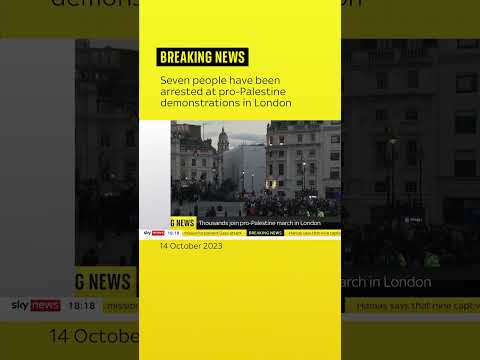 Seven arrests during pro-Palestine march in London