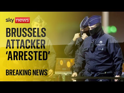 Brussels attack: Person shot in cafe – as suspected gunman ‘arrested’