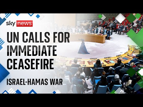 The US vetoes a UN resolution condemning all violence against civilians in Israel-Hamas war