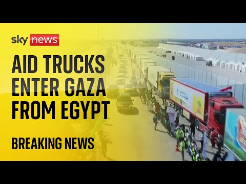 Israel-Hamas war: Aid trucks enter Gaza through Rafah crossing
