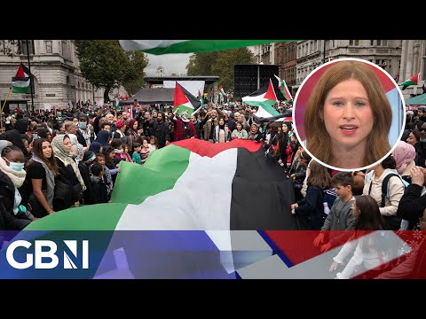 Pro-Palestine protest policing: Former Met Police Officer explains the ‘HUGE, CHALLENGING’ operation