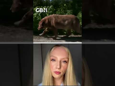 World’s oldest dog, Bobi , dies aged 31 #dogs #dog #worldnews #GBNews