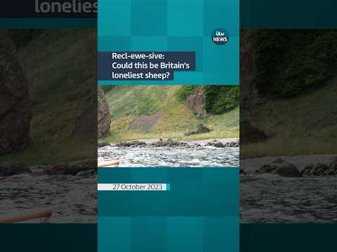 Could this be Britain’s loneliest sleep? #itvnews