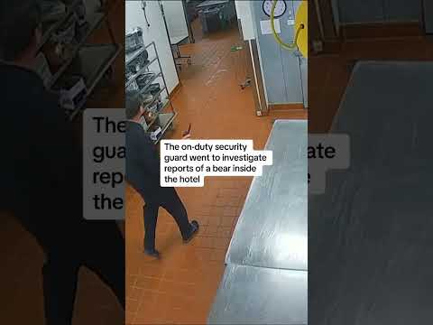 Bear attacks security guard in Colorado hotel