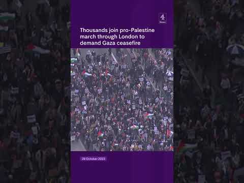 Thousands of pro-Palestine demonstrators march through London demanding a ceasefire in Gaza
