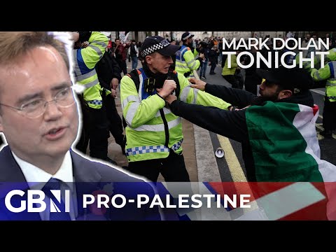‘PRO-PALESTINE supporters support HAMAS!’: Former Margaret Thatcher Advisor slams ‘Free Palestine’
