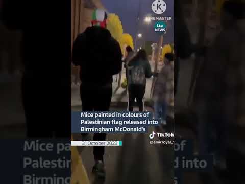 Mice painted in colours of Palestinian flag released into McDonald’s #itvnews #news #uk #palestine
