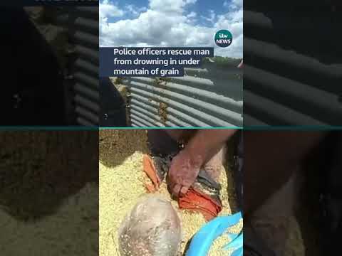 Police officers rescue man from drowning in under mountain of grain #australia #itvnews #police