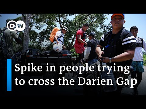 UN: Record numbers risk lives to cross the Darien Gap | DW News