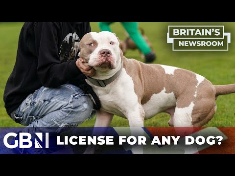 Should you need a license to own ANY dog? | ‘You can’t guarantee that a dog won’t ever bite anyone!’