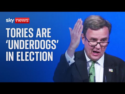 Tories are ‘underdogs’ in next election – Conservative chair