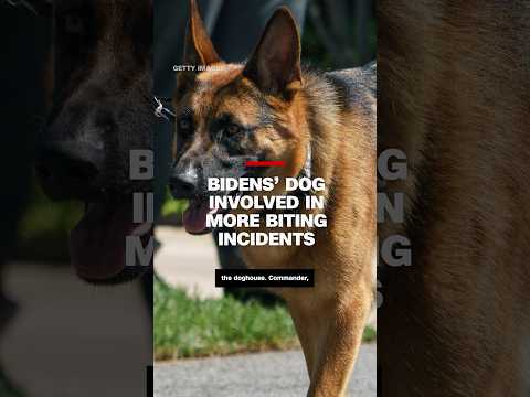Bidens’ dog involved in more biting incidents