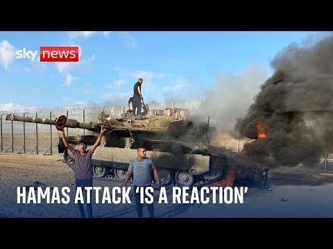 ‘Palestine has a right to defend itself’, politician says