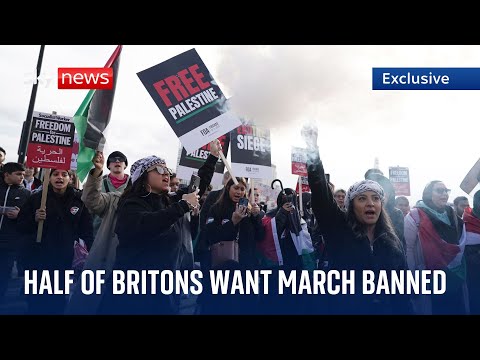 EXCLUSIVE: Half of Britons think pro-Palestinian marches should be banned on Armistice Day