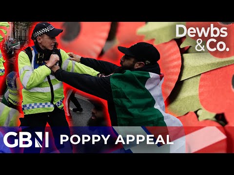 Are YOU nervous to wear a Poppy? | ‘INTIMIDATING’ Palestine protests undermining appeal