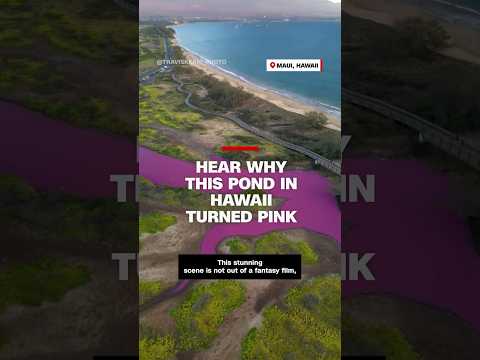 Hear why this pond in Hawaii turned pink
