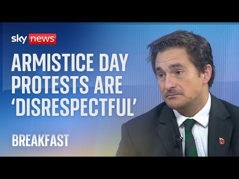 Armistice Day: Pro-Palestine protests are ‘provocative and disrespectful,’ says minister