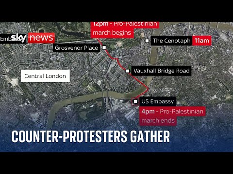 Armistice Day: ‘Counter-protesters’ gather to protect Cenotaph in light of pro-Palestine march