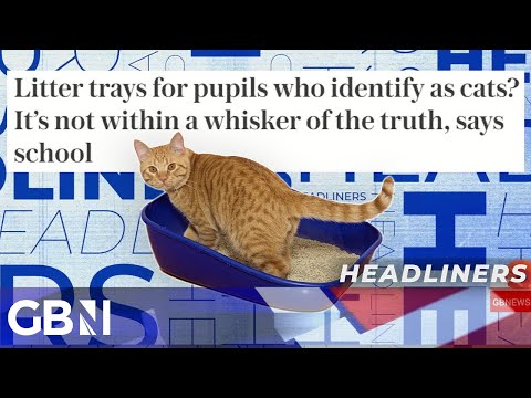 Litter trays for pupils who identify as cats? It’s not within a whisker of the truth, says school