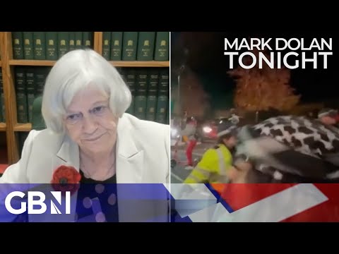 Ann Widdecombe: It’d be easy to pass a law saying no protests on Armistice Day or Remembrance Sunday